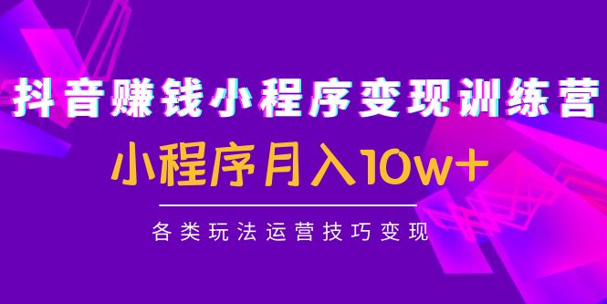 抖音赚钱小程序变现训练营:小程序月入10w+各类玩法运营技巧变现-淘金日记