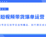 2023短视频带货爆单运营,从账号定位到学会选预爆品,到代理完成出单(价值1250元)-淘金日记