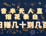 抖音半无人直播烟花表白,日赚几十到几百(教程+视频模板素材)-淘金日记