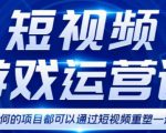 短视频游戏赚钱特训营,0门槛小白也可以操作,日入1000+-淘金日记