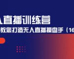 无人直播训练营：手把手教您打造无人直播操盘手（16节课时）-淘金日记