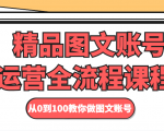 精品图文账号运营全流程课程 从0到100教你做图文账号-淘金日记