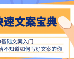 快速文案宝典,0基础文案入门,给不知道如何写好文案的你-淘金日记