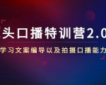 镜头口播特训营2.0版,学习文案编导以及拍摄口播能力(50节课时)-淘金日记