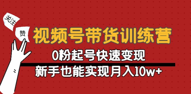 视频号带货训练营:0粉起号快速变现,新手也能实现月入10w+-淘金日记
