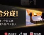 2022年最新中视频变现最稳最长期的项目,一个账号月入几万很简单-淘金日记