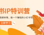 小红书IP特训营:从搭建-制作-爆款脚本等等,做一个赚钱的小红书号-淘金日记