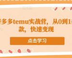 跨境拼多多temu实战营,从0到1打造爆款,快速变现-淘金日记