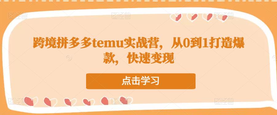 跨境拼多多temu实战营,从0到1打造爆款,快速变现-淘金日记