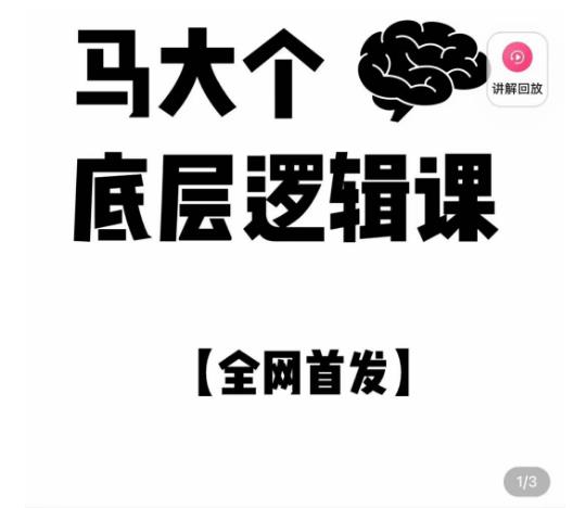 马大个·底层逻辑课，51节底层逻辑智慧课-价值1980元-淘金日记