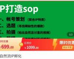 瑶瑶·自然流IP孵化,系统掌握IP孵化全流程,也能学到选题,剪辑,账号运营经验-淘金日记