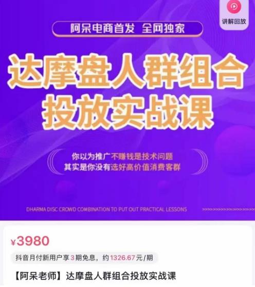 阿呆电商·达摩盘人群组合投放实战课,你以为推广不赚钱是技术问题,其实是你没有选好高价值消费客群-淘金日记