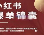 小红书爆单锦囊，自带种草属性+高质量女性用户，为你的企业开辟一条新的掘金路径-淘金日记