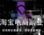 蓝Sir派·淘宝短视频快速起店，替代传统搜索方式，学会做一个不一样的淘宝店-淘金日记