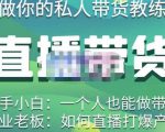 硬核传媒·直播带货(私人教练),实操实战教学,通俗易懂,学完后新手小白一个人也能做带货-淘金日记