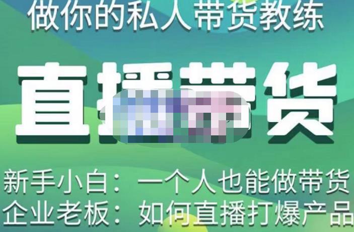 硬核传媒·直播带货(私人教练),实操实战教学,通俗易懂,学完后新手小白一个人也能做带货-淘金日记