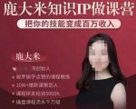 鹿大米知识IP做课营,把你的技能变成百万收入,陪你打出磨人生第费付门一课!-淘金日记