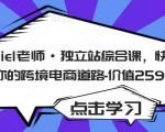 Daniel老师·独立站综合课,快速开启你的跨境电商道路-价值2599元-淘金日记