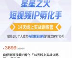 瑶瑶·自然流短视频IP孵化第二期,14天线上实战训练营,赋能100个人成为有数据能赚钱的独立IP孵化手-淘金日记