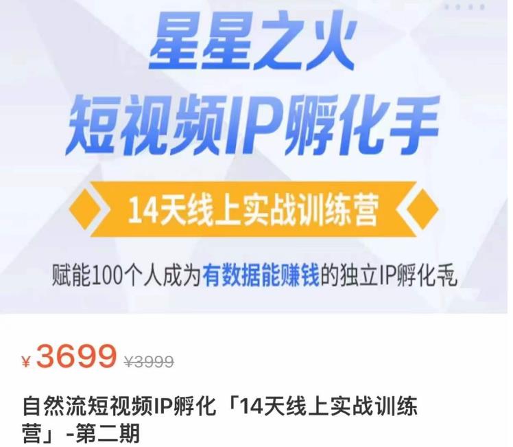 瑶瑶·自然流短视频IP孵化第二期,14天线上实战训练营,赋能100个人成为有数据能赚钱的独立IP孵化手-淘金日记