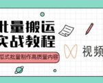 视频号批量搬运实战操作运营赚钱教程,傻瓜式批量制作高质量内容【附视频教程+PPT】-淘金日记