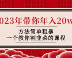 韭菜-联盟·2023年带你年入20w+方法简单粗暴,一个教你割韭菜的课程-淘金日记