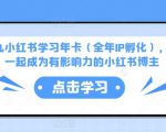 厦九九小红书学习年卡(全年IP孵化),沉浸式学习,一起成为有影响力的小红书博主-淘金日记