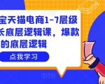 大圣淘宝天猫电商1-7层级盈利增长底层逻辑课,爆款的底层逻辑-淘金日记