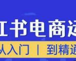 顽石小红书电商高阶运营课程,从入门到精通,玩法流程持续更新-淘金日记