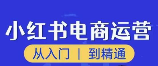 顽石小红书电商高阶运营课程,从入门到精通,玩法流程持续更新-淘金日记