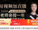 张越·短视频+直播,自然流三频共振起号实操课,短视频所有流量玩法讲解-淘金日记