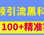 视频引流黑科技玩法，不花钱推广，视频播放量达到100万+，每日100+精准客源-淘金日记