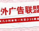 外面收费1980的最新国外LEAD广告联盟搬砖项目,单号一天至少30美金【详细玩法教程】-淘金日记