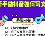 新手做抖音如何写文案，手把手实操如何拆解热门文案-淘金日记