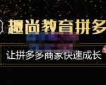 趣尚教育·拼多多运营实操VIP特训营,让拼多多商家快速成长-价值3180元-淘金日记