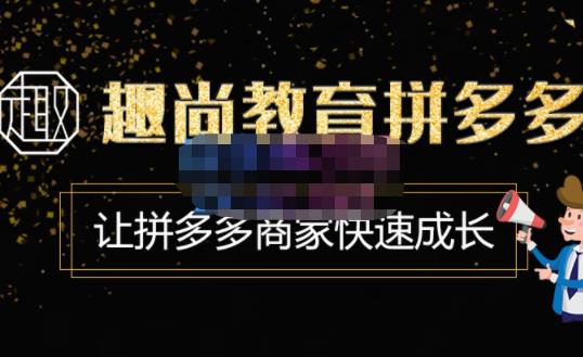 趣尚教育·拼多多运营实操VIP特训营，让拼多多商家快速成长-价值3180元-淘金日记