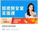 小秋·短视频文案实操课，​从0到1教你做短视频的经验技巧-淘金日记