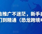 亚马逊广告推广不迷茫,新手卖家产品运营入门到精通(恐龙跨境电商)-淘金日记