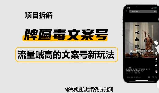 2023抖音快手毒文案新玩法,牌匾文案号,起号快易变现-淘金日记