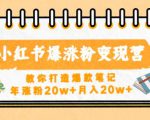 小红书爆涨粉变现营,教你打造爆款笔记,年涨粉20w+月入20w-淘金日记