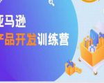 亚马逊产品开发训练营,能爆单的产品开发方法,助你突出重围-淘金日记