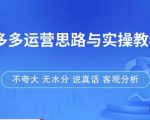 拼多多店铺运营思路与实操教程,快速学会拼多多开店和运营,少踩坑,多盈利-淘金日记