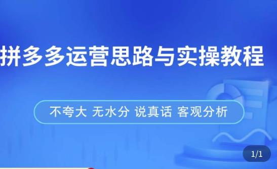 拼多多店铺运营思路与实操教程,快速学会拼多多开店和运营,少踩坑,多盈利-淘金日记