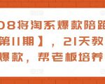 108将淘系爆款陪跑营【第11期】,21天教运营打爆款,帮老板培养运营-淘金日记