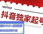 抖音独家起号,一天引流500+精准粉,适合各类行业(9节视频课)-淘金日记
