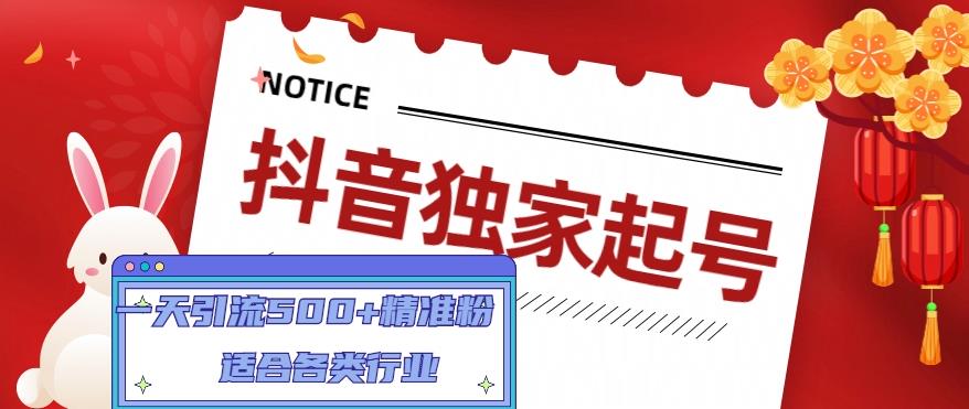 抖音独家起号,一天引流500+精准粉,适合各类行业(9节视频课)-淘金日记