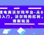 跨境电商沃尔玛平台-从0基础到入门,沃尔玛的红利,跨境新玩法-淘金日记