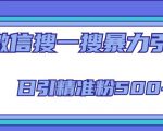 微信搜一搜引流全系列课程,日引精准粉500+(8节课)-淘金日记