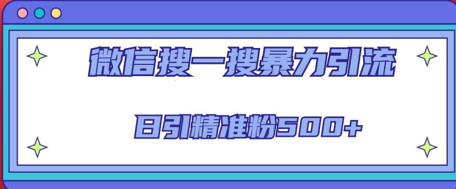 微信搜一搜引流全系列课程,日引精准粉500+(8节课)-淘金日记