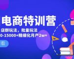 美团电商特训营:美团·店群玩法,无脑铺货月产出6000-15000+精细化月产2w+-淘金日记